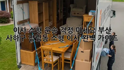 이사 소형 운송? 걱정 마세요! 부산 사하구 장림동 소형 이사 완벽 가이드 ✨